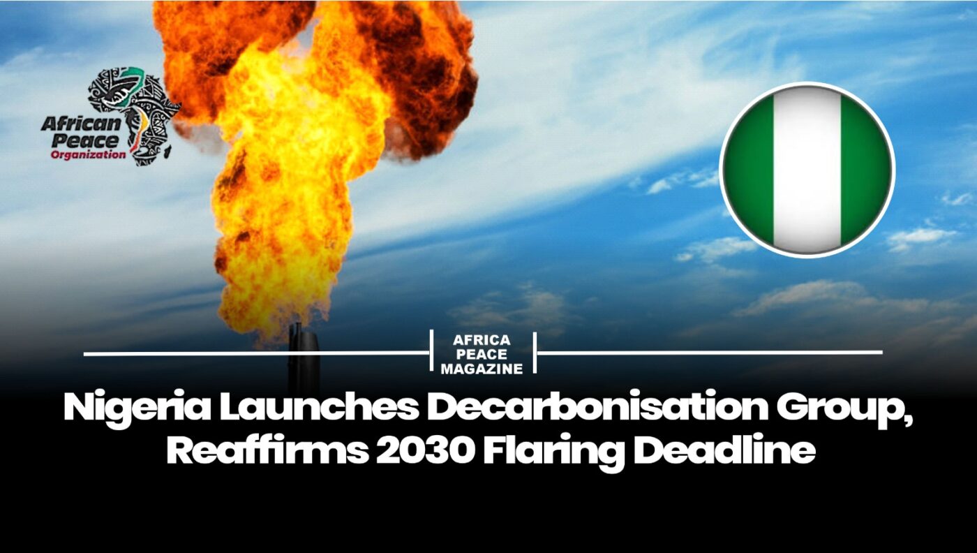 Nigeria Launches Decarbonisation Group, Reaffirms 2030 Flaring Deadline 1 WhatsApp Image 2026 07 20 at 9.30.42 AM 4